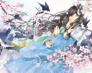 永久香蕉